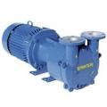 Вакуумные насосы Robuschi RVS SG