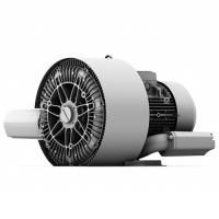 Промышленная вихревая воздуходувка Elektror 2SD 740 - 50/4