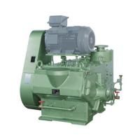 Промышленный золотниковый вакуумный насос Osaka Vacuum P901