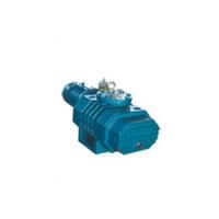 Промышленный бустерный вакуумный насос типа Рутс DEVELOPMENT VACUUM EQUIPMENT ZJ-220