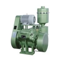 Промышленный золотниковый вакуумный насос Osaka Vacuum P180