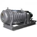 Вакуумные насосы Everest EVB-HS