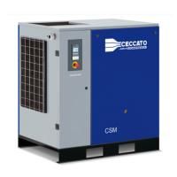 Промышленный винтовой компрессор Ceccato CSM 40-13 бар