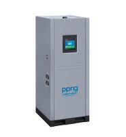 Адсорбционный генератор азота Pneumatech PPNG 63 HE PCT
