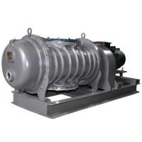 Промышленный бустерный вакуумный насос Everest EVB-HS 10000
