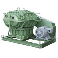 Промышленный бустерный вакуумный насос типа Рутс Osaka Vacuum R6002